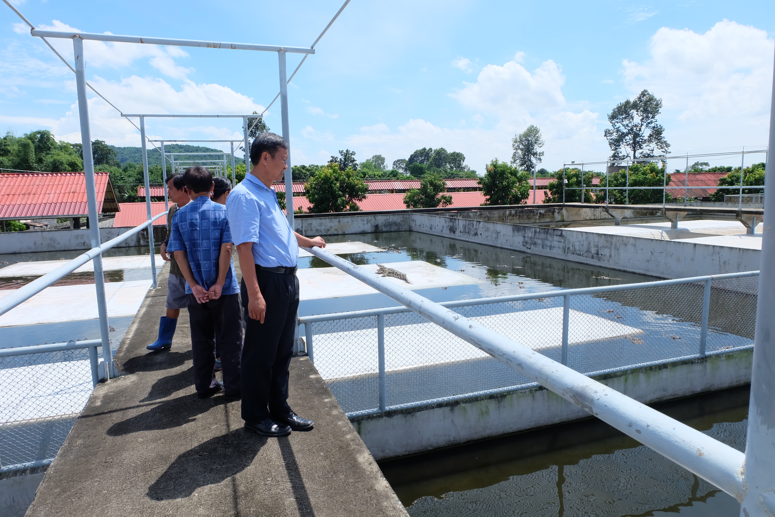 ตรวจสอบฟาร์มจระเข้..คลิก