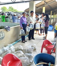 มอบพันธุ์ปลา สนับสนุนโครงการเกษตรทฤษฎีใหม่ด้านการประมง
