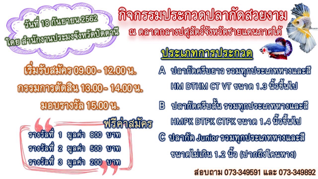 สำนักงานประมงจังหวัดปัตตานี..คลิก