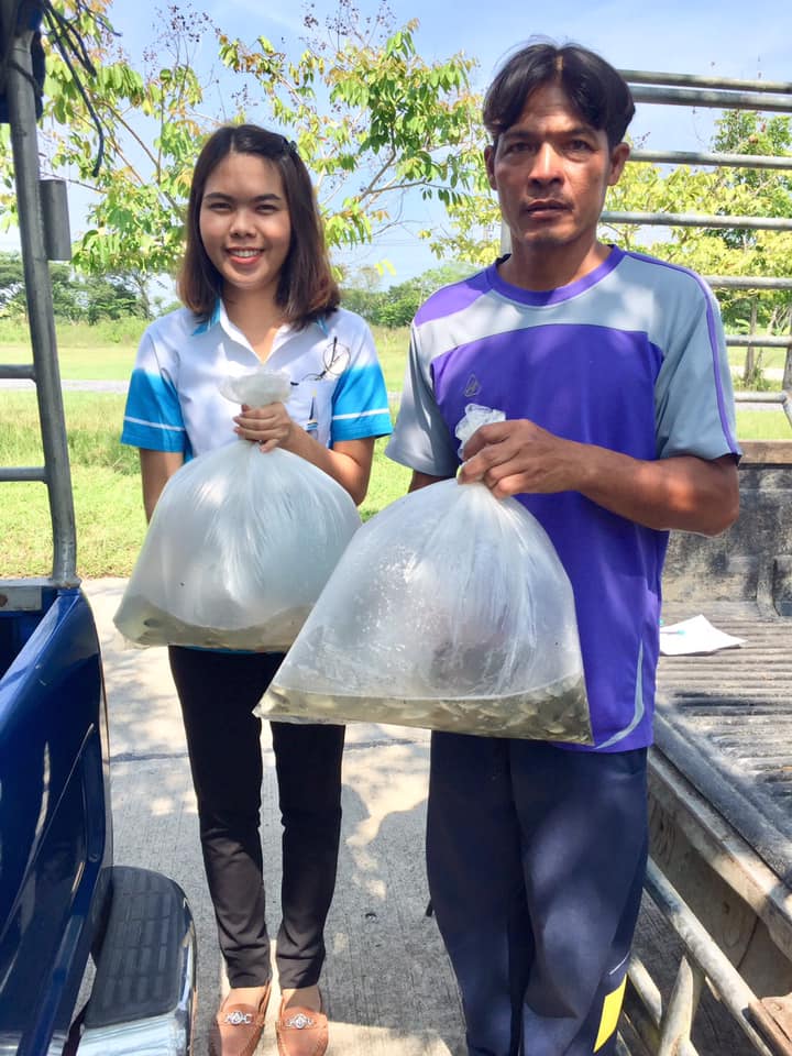 สำนักงานประมงจังหวัดนครศรีธรรมราช  มอบปัจจัยการผลิตให้เกษตรกรต้นแบบเกษตรทฤษฎีใหม่ด้านการประมง โครงการพัฒนาเกษตรกรรมยั่งยืน ประจำปี 2562 พื้นที่อำเภอหัวไทร..คลิก