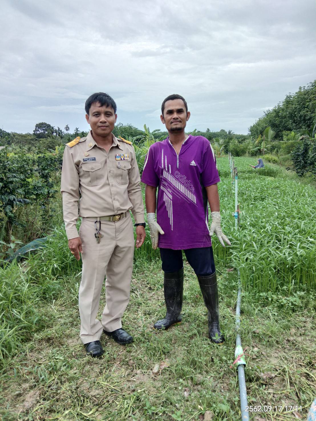 สำนักงานประมงจังหวัดนครศรีธรรมราช มอบปัจจัยการผลิตและให้คำแนะนำแก่เกษตรกรต้นแบบเกษตรทฤษฎีใหม่ด้านการประมง โครงการพัฒนาเกษตรกรรมยั่งยืน ประจำปี 2562 พื้นที่อำเภอเมืองนครศรีธรรมราช..คลิก