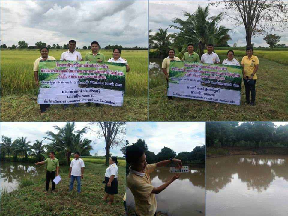 วันที่ 11 กันยายน 2562..คลิก