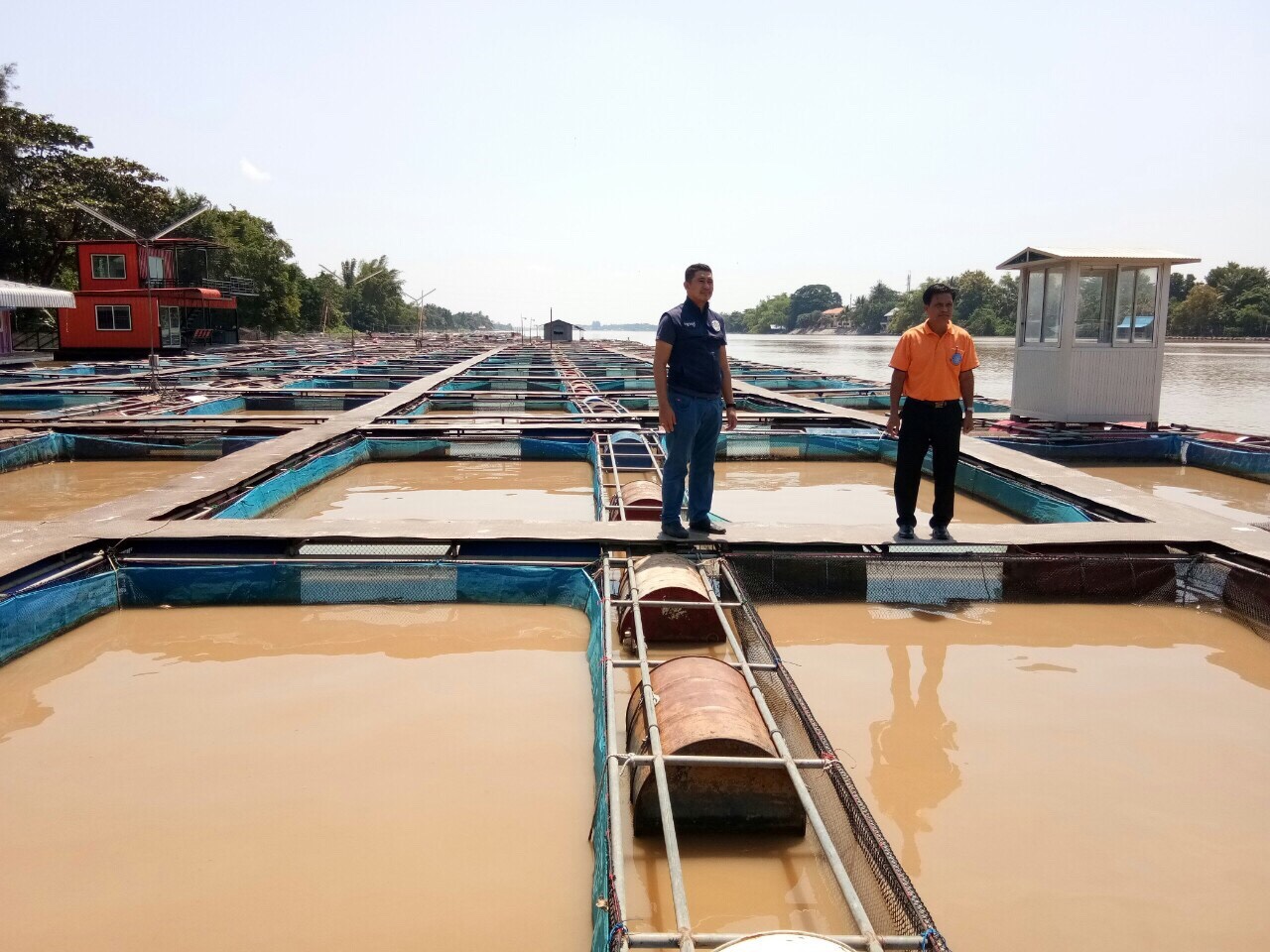 ให้คำแนะนำเกษตรกร..คลิก