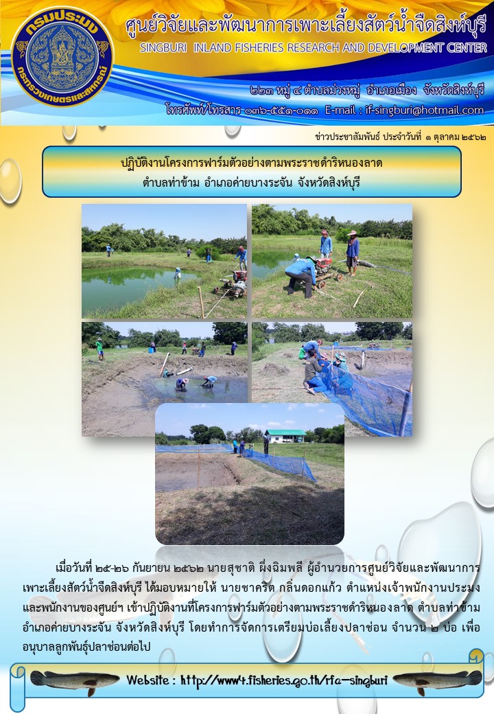 ปฏิบัติงานโครงการฟาร์มตัวอย่างตามพระราชดำริหนองลาด  ตำบลท่าข้าม อำเภอค่ายบางระจัน จังหวัดสิงห์บุรี..คลิก