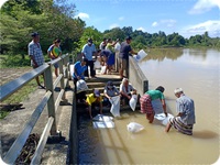 โครงการการเพิ่มผลผลิตกุ้งก้ามกรามในแหล่งน้ำจังหวัดตรังเพื่อสร้างอาชีพ..คลิก