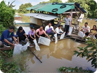 โครงการการเพิ่มผลผลิตกุ้งก้ามกรามในแหล่งน้ำจังหวัดตรังเพื่อสร้างอาชีพ..คลิก