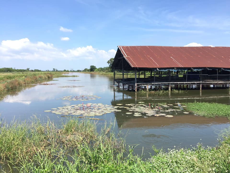 ขึ้นทะเบียนเกษตรกรผู้เพาะเลี้ยงสัตว์น้ำ..คลิก