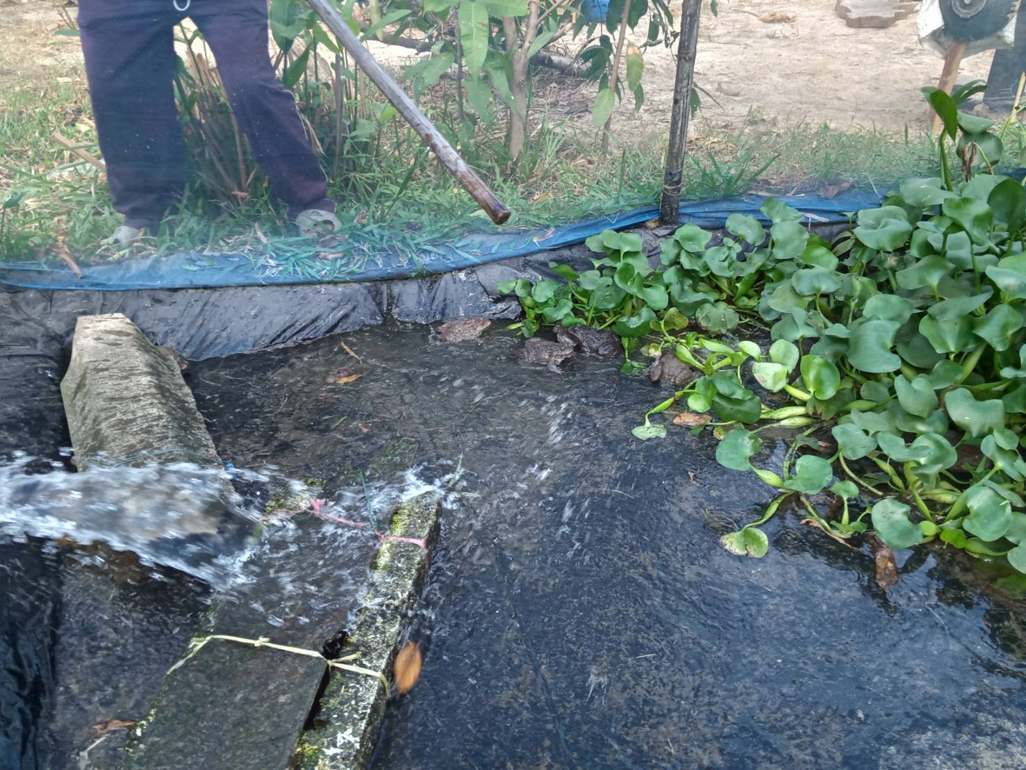 สำนักงานประมงจังหวัดศรีสะเกษ ตรวจเยียมและคัดเลือก ศพก. เครือข่ายด้านประมง ปี 2563..คลิก