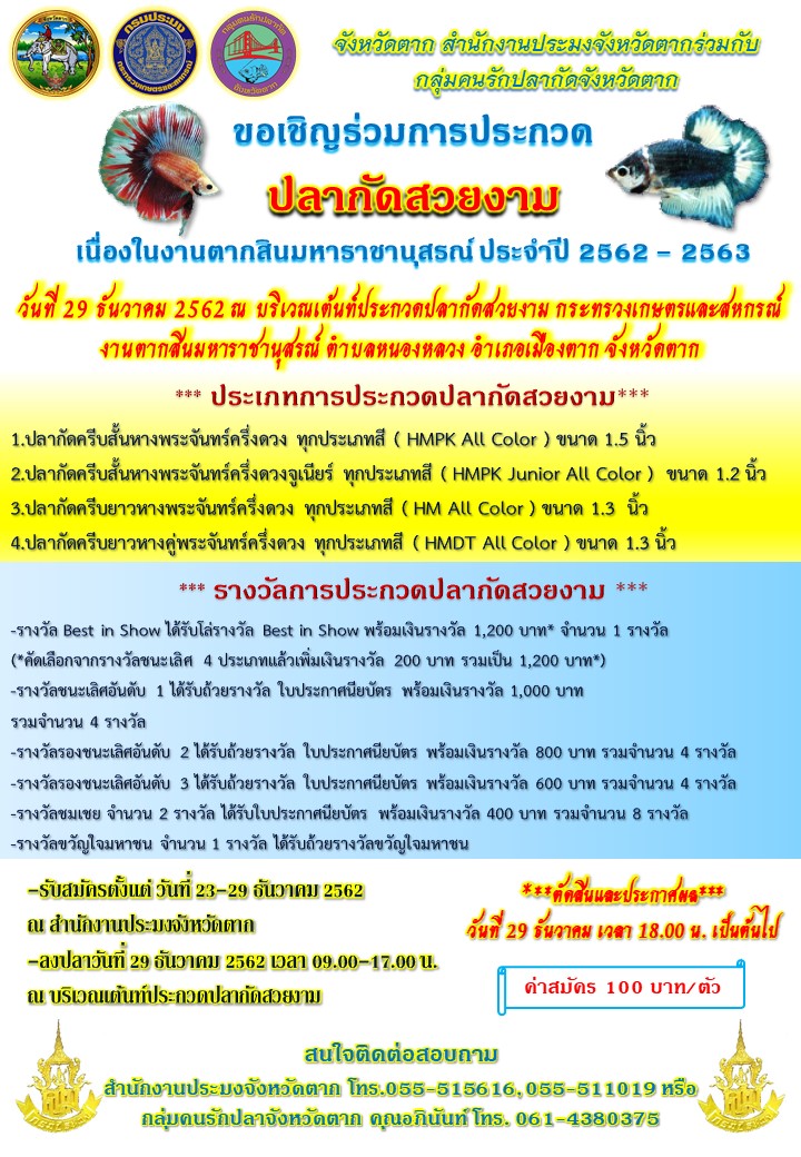 ประชาสัมพันธ์การประกวดปลากัดงานตากสินมหาราชานุสรณ์จังหวัดตาก ประจำปี 2562-2563..คลิก