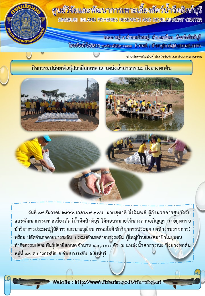 กิจกรรมปล่อยพันธุ์ปลายี่สกเทศ ณ แหล่งน้ำสาธารณะ บึงยางหกต้น..คลิก