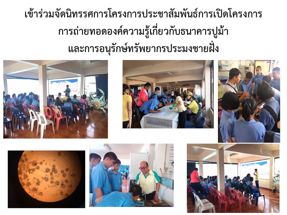 ศูนย์วิจัยและพัฒนาประมงอ่าวไทยตอนบน (สมุทรปราการ) และเจ้าหน้าที่ เข้าร่วมจัดนิทรรศการโครงการประชาสัมพันธ์การเปิดโครงการถ่ายทอดองค์ความรู้เกี่ยวกับธนาคารปูม้า และการอนุรักษ์ทรัพยากรประมงชายฝั่ง..คลิก