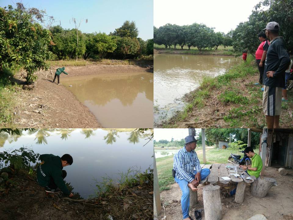 โครงการ เลี้ยงปลาในนาข้าว..คลิก