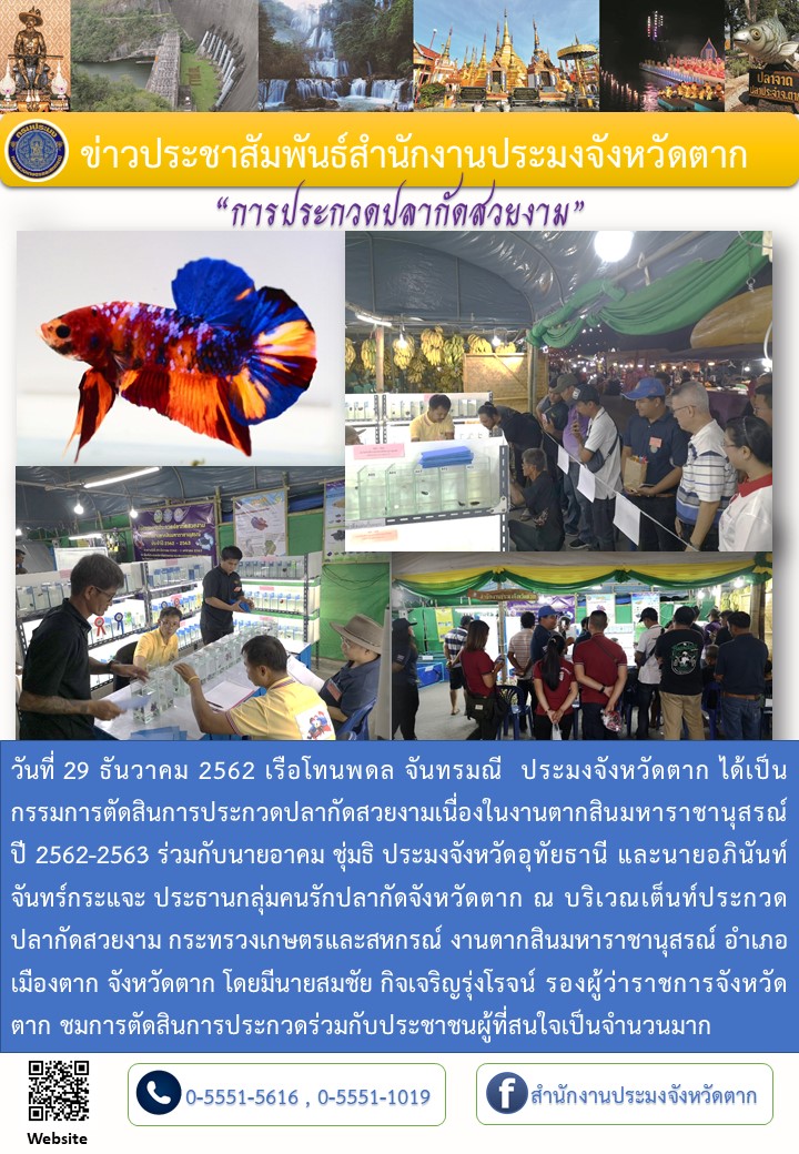 การประกวดปลากัดสวยงาม..คลิก