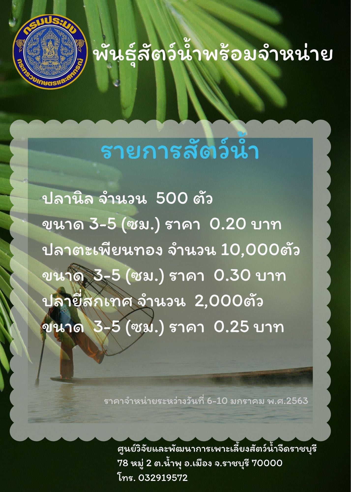 ราคาสัตว์น้ำพร้อมจำหน่าย..คลิก