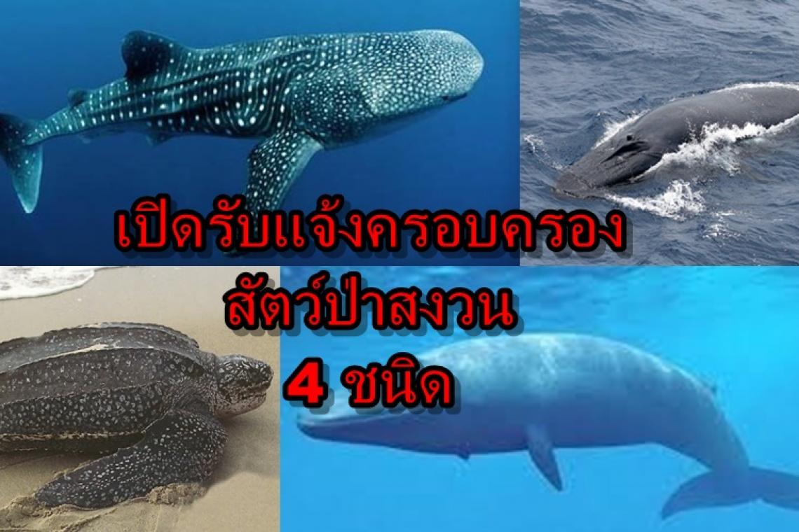เปิดรับแจ้งการครอบครองสัตว์ป่าสงวน 4 ชนิดล่าสุด ตั้งแต่บัดนี้ จนถึง 24 กุมภาพันธ์ 2563 นี้เท่านั้น..คลิก