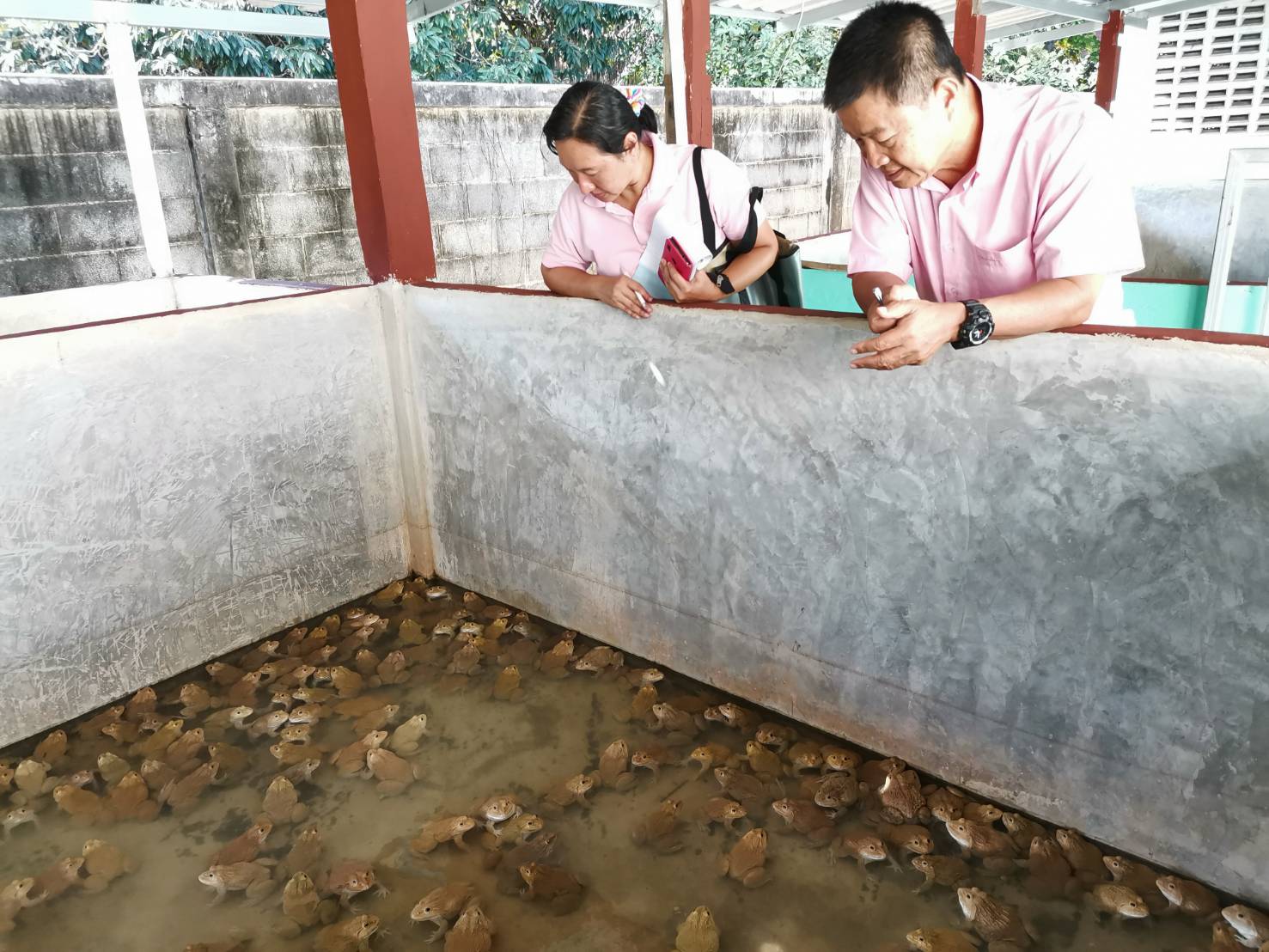 โครงการเกษตรอินทรีย์ และโครงการโรงเรียนอาหารกลางวัน..คลิก