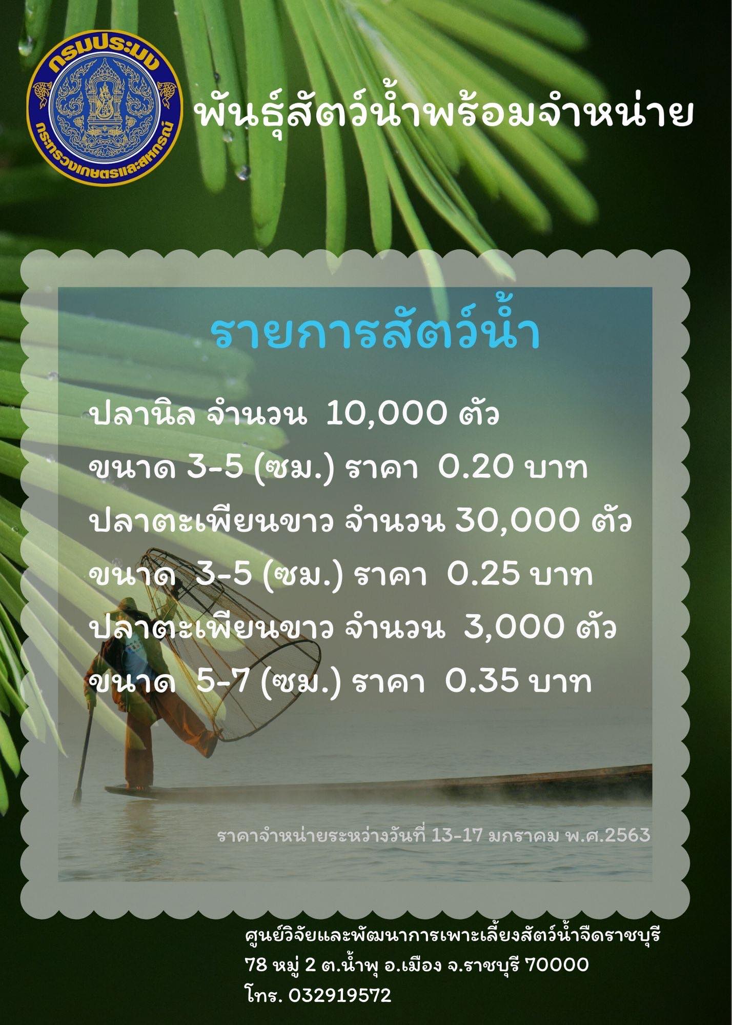 ราคาสัตว์น้ำพร้อมจำหน่าย..คลิก