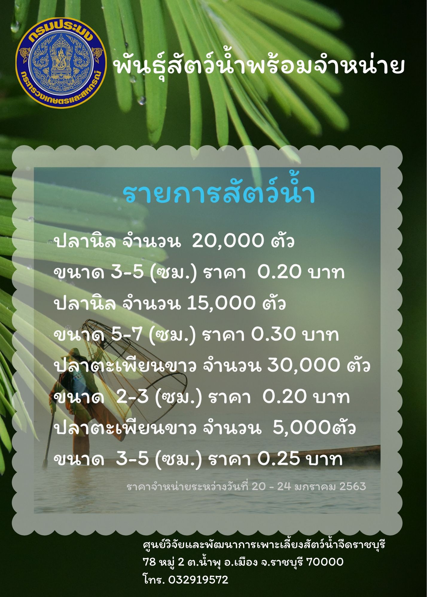 ราคาสัตว์น้ำพร้อมจำหน่าย..คลิก
