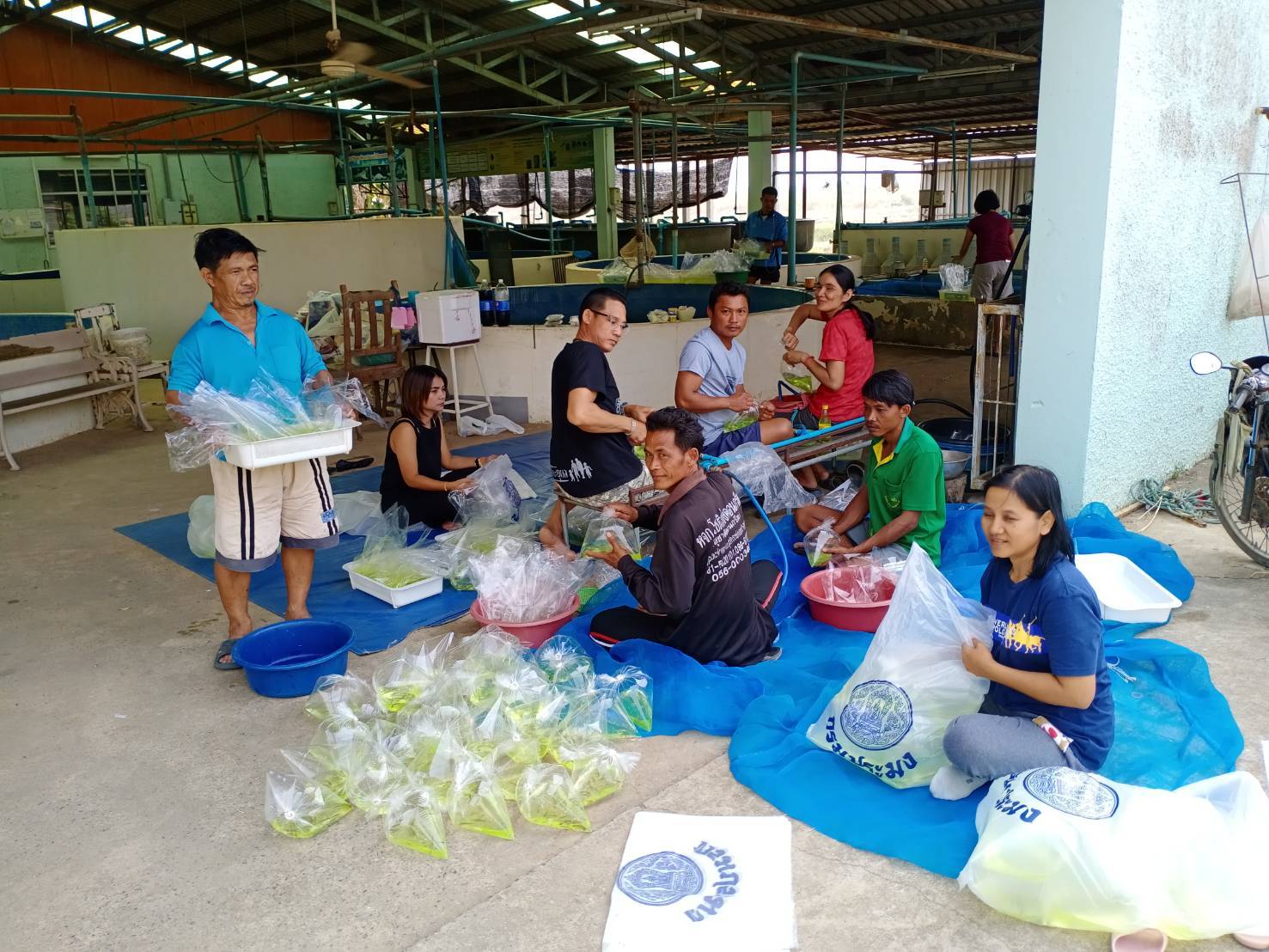 ศูนย์วิจัยเเละพัฒนาประมงน้ำจืดเขต 2 (นครสวรรค์) สนับสนุนพันธุ์ปลาเพื่อนำไปปล่อยเสริมความเป็นสิริมงคลในเทศกาลตรุษจีน..คลิก