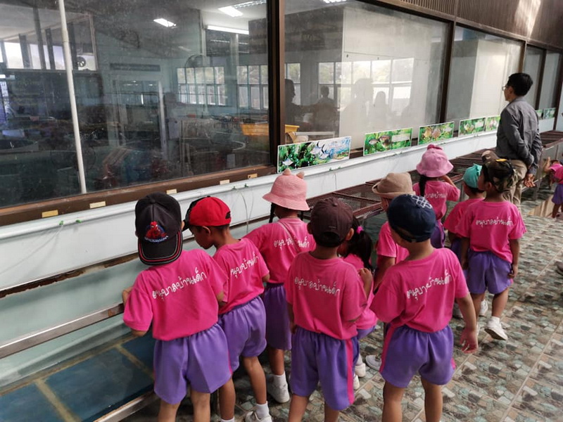 ต้อนรับนักเรียน โรงเรียนอนุบาลบ้านเด็ก เข้าเรียนรู้เรื่องปลาตะเพียน..คลิก
