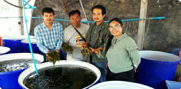 โครงการศูนย์เรียนรู้การเพิ่มประสิทธิภาพการผลิตสินค้าเกษตร (ศพก.)..คลิก