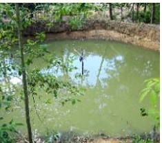 โครงการเกษตรทฤษฎีใหม่..คลิก