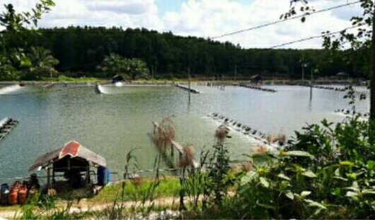 โครงการศูนย์เรียนรู้การเพิ่มประสิทธิภาพการผลิตสินค้าเกษตร..คลิก