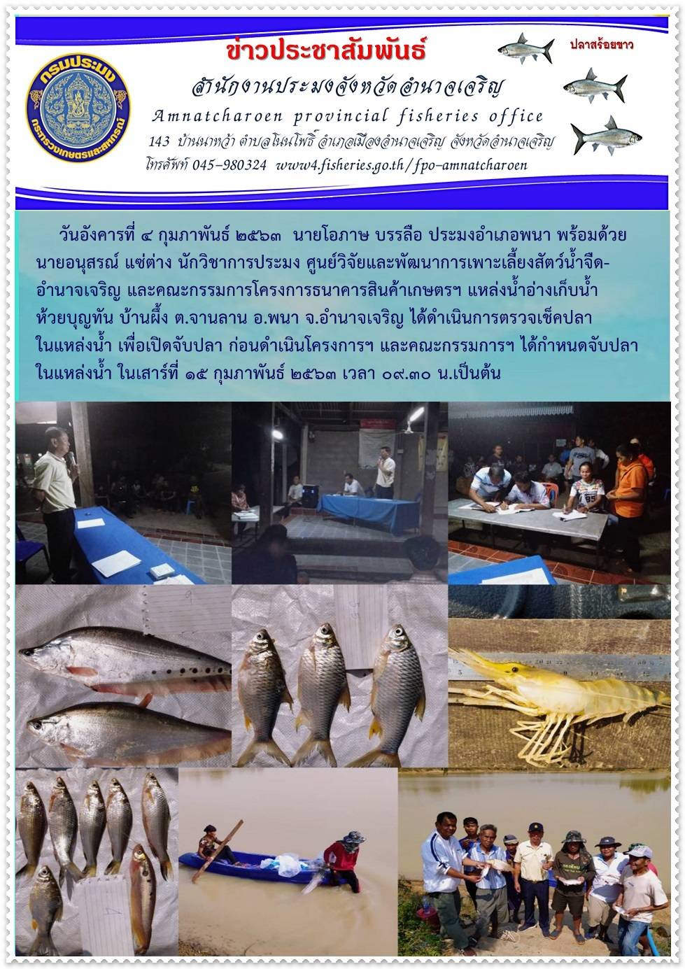 ประมงอำเภอพนาร่วมกับศูนย์วิจัยและพัฒนาการเพาะเลี้ยงสัตว์น้ำจืดอำนาจเจริญ  และคณะกรรมการโครงการธนาคารสินค้าเกษตรฯ แหล่งน้ำอ่างเก็บน้ำห้วยบุญทัน บ้านผึ้ง ต.จานลาน อ.พนา จ.อำนาจเจริญ ได้ดำเนินการตรวจเช็คปลาในแหล่งน้ำ เพื่อเปิดจับปลา ก่อนดำเนินโครงการฯ ..คลิก