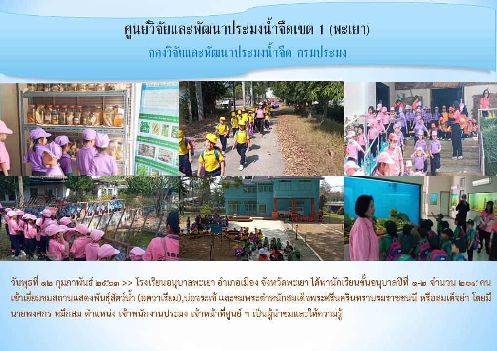 ศึกษาดูงาน โรงเรียนอนุบาลพะเยา..คลิก
