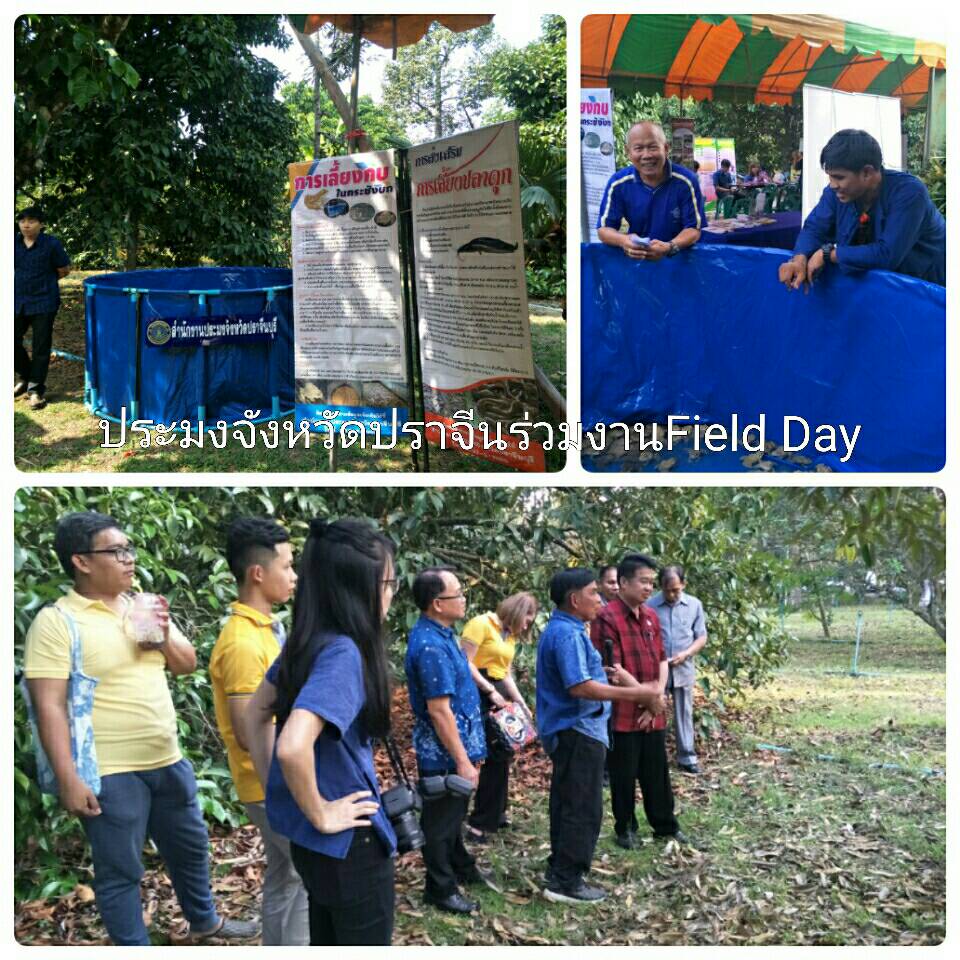 ข่าวประชาสัมพันธ์..คลิก