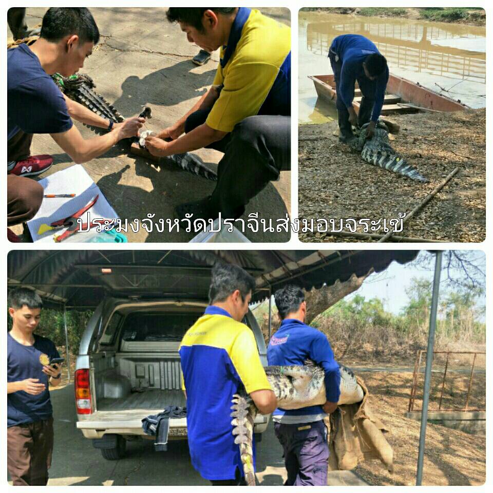 ข่าวประชาสัมพันธ์..คลิก