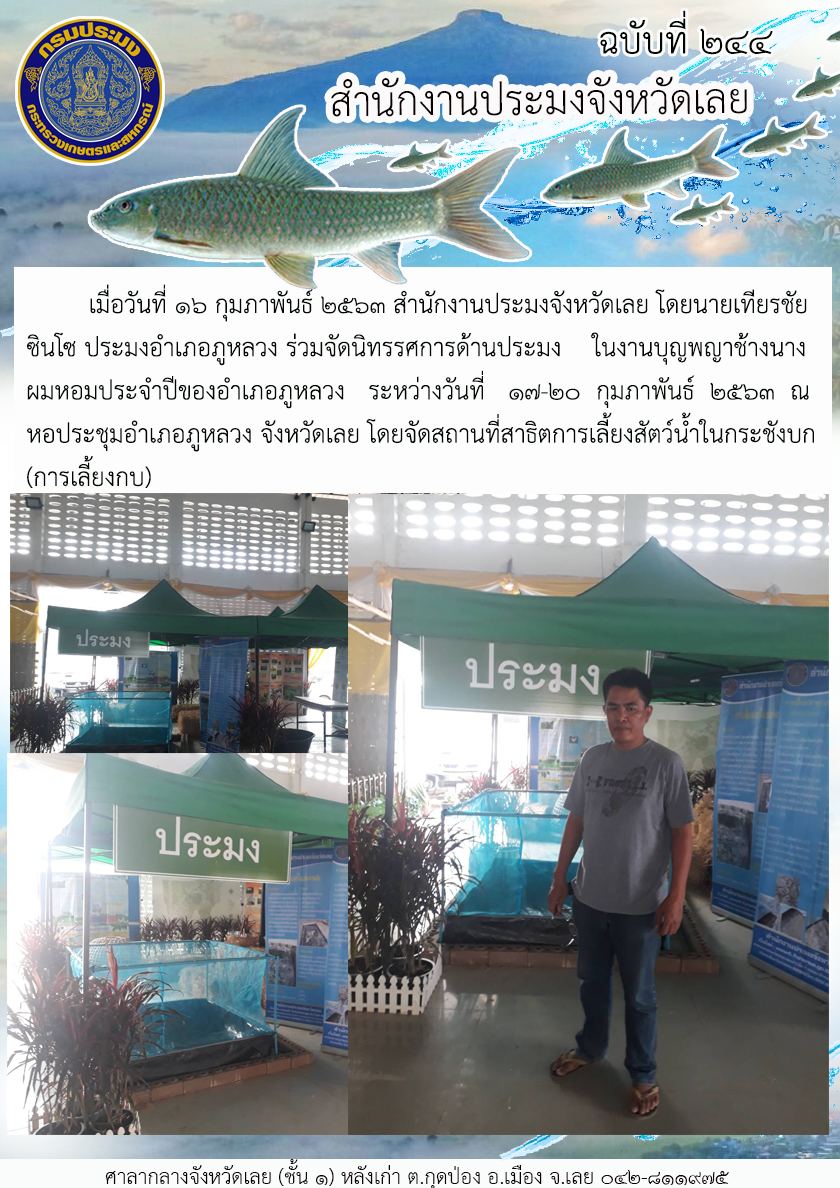 ร่วมจัดนิทรรศการด้านประมง ในงานบุญพญาช้างนางผมหอมประจำปีของอำเภอภูหลวง จังหวัดเลย