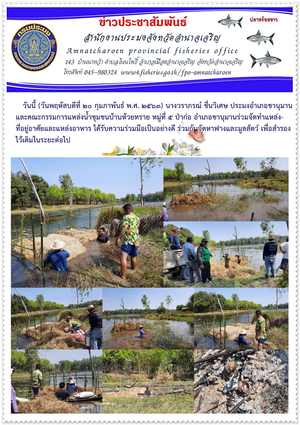 นางวราภรณ์ ชื่นวิเศษ ประมงอำเภอชานุมาน และคณะกรรมการแหล่งน้ำชุมชนบ้านห้วยทราย หมู่ที่ 5 ป่าก่อ อำเภอชานุมานร่วมจัดทำแหล่งที่อยู่อาศัยและแหล่งอาหาร..คลิก