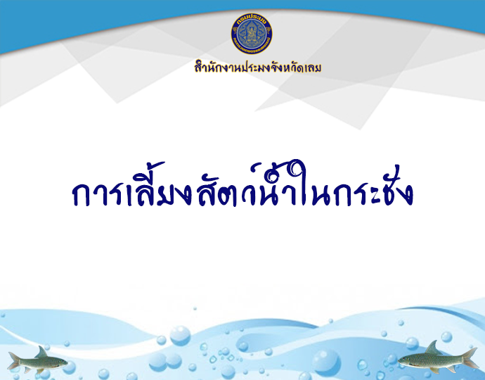 การเลี้ยงสัตว์น้ำในกระชัง..คลิก