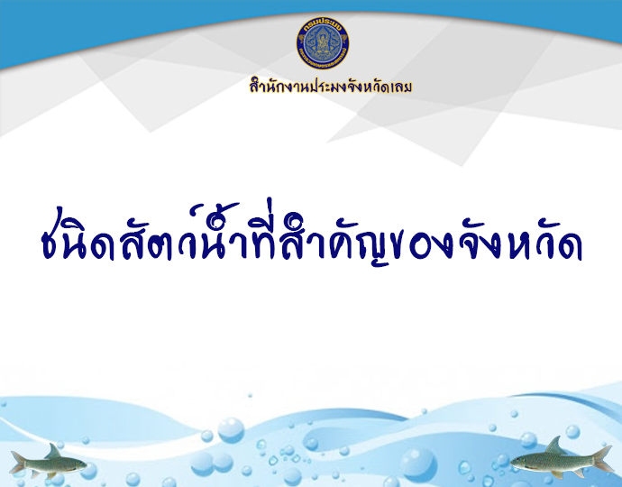 ชนิดสัตว์น้ำที่สำคัญของจังหวัด..คลิก