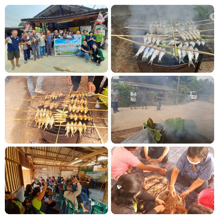 ประชุมพัฒนาองค์ความรู้โครงการระบบส่งเสริมเกษตรแบบแปลงใหญ่ ปลากินพืช  จังหวัดแม่ฮ่องสอน..คลิก