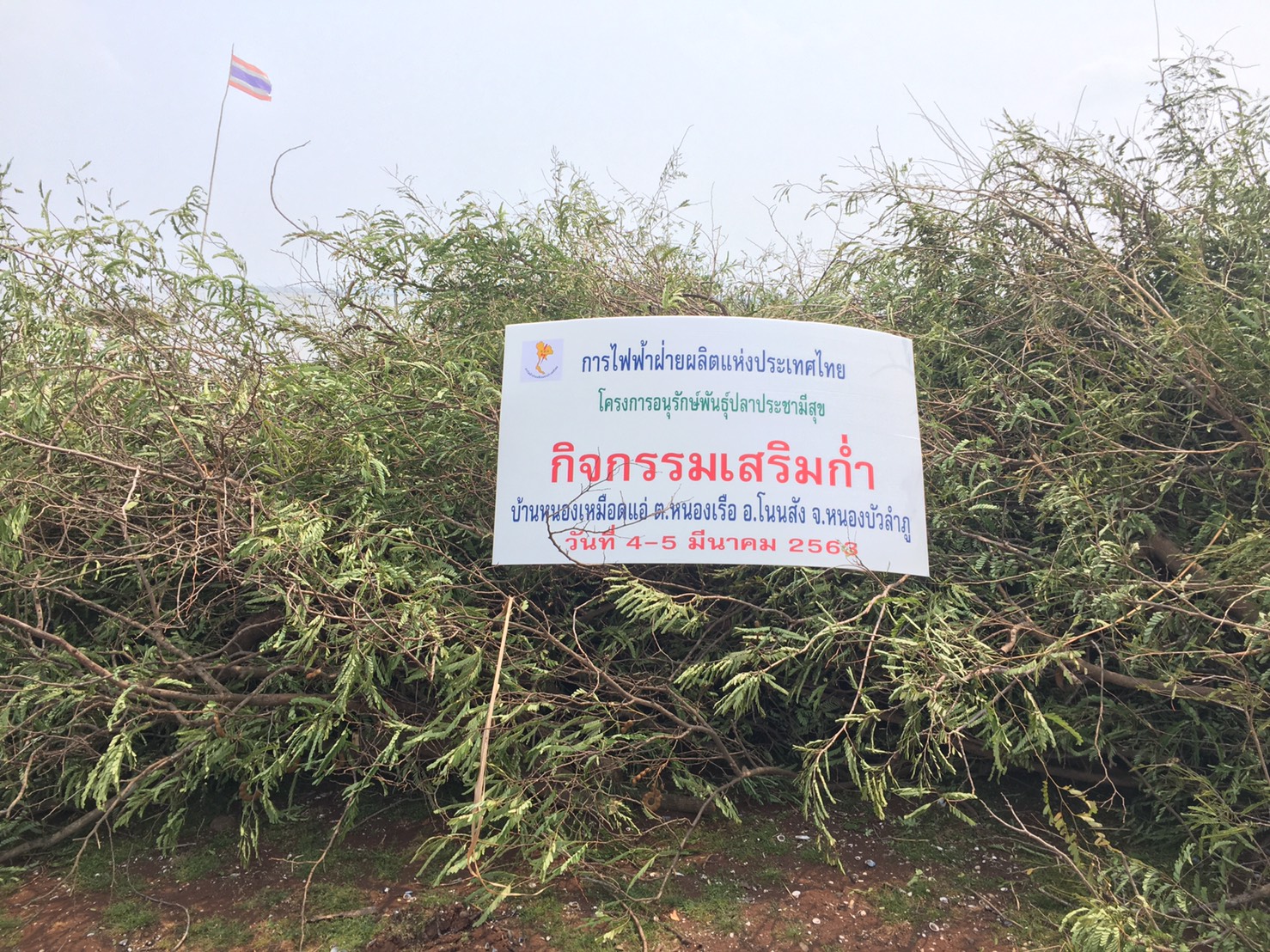 วันที่ 4 มีนาคม 2563 ดำเนินกิจกรรมเสริมกร่ำ ตามโครงการอนุรักษ์พันธุ์ปลาประชามีสุข และจัดเตรียมสถานที่จุดรับปลาสู่บ้านใหม่..คลิก
