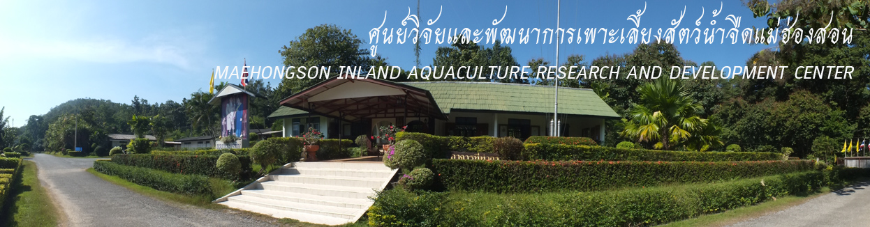 แบนเนอร์