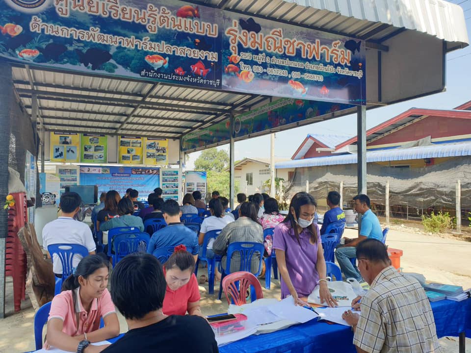 จัดฝึกอบรมเกษตรกรแปลงใหญ่ปลาสวยงามตามโครงการฝึกอบรมระบบส่งเสริมเกษตรแบบแปลงใหญ่ (สัตว์น้ำจืด) ประจำปีงบประมาณ พ.ศ.2563..คลิก