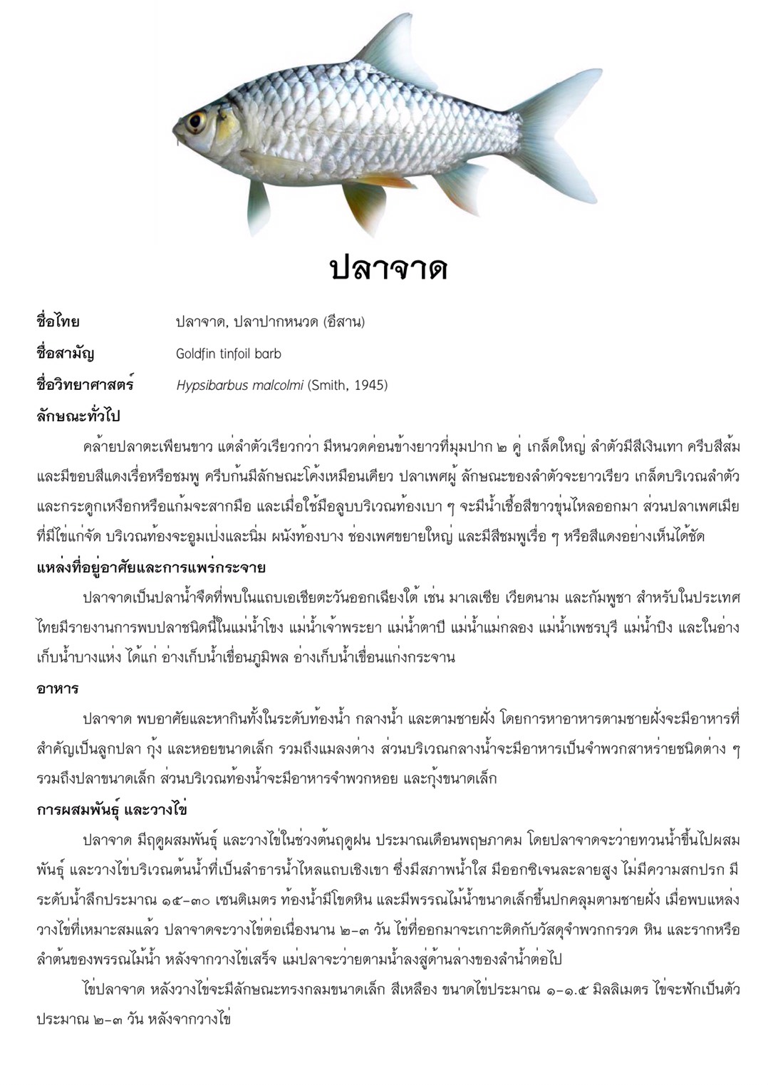 ปลาประจำจังหวัด..คลิก