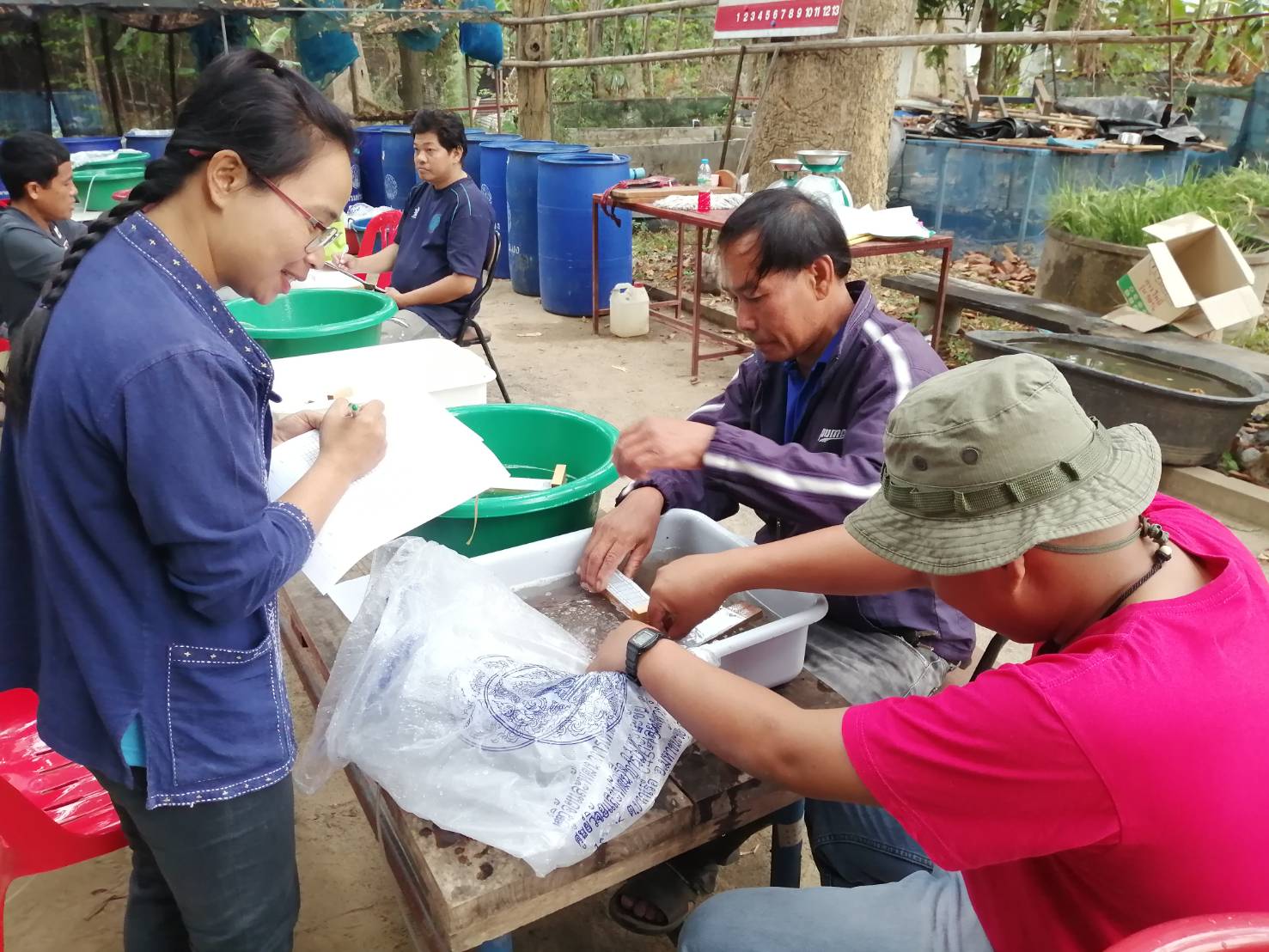สำนักงานประมงจังหวัดอำนาจเจริญ เรียนรู้วิธีการสุ่มตรวจชั่งวัด กุ้งก้ามกราม โครงการสร้างอาชีพประมงในแหล่งน้ำชุมชน ณ สำนักงานประมงจังหวัดยโสธร และปล่อยกุ้งก้ามกราม ณ แหล่งน้ำหนองกุดค้าว บ้านห้องพอก ตำบลน้ำคำใหญ่ อำเภอเมืองยโสธร จังหวัดยโสธร..คลิก