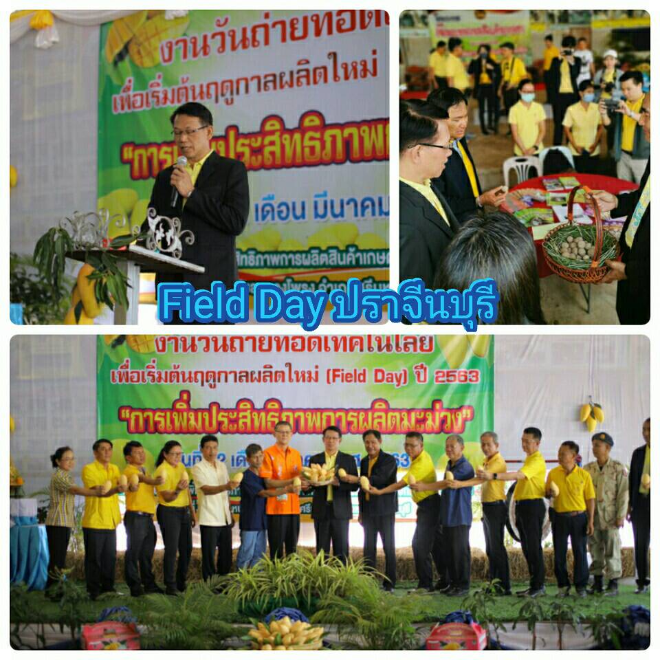 โครงการศูนย์เรียนรู้การเพิ่มประสิทธิภาพการผลิตสินค้าเกษตร Field Day