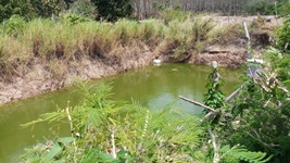 กิจกรรมพัฒนาคุณภาพสินค้าประมงสู่มาตรฐาน