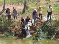 สนับสนุนพันธุ์กุ้งก้ามกรามเพื่อปล่อยลงแหล่งน้ำ