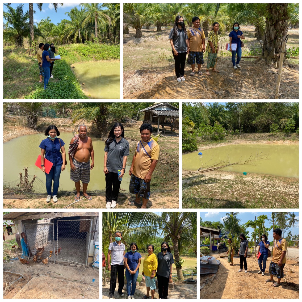 โครงการ เกษตรทฤษฎีใหม่..คลิก