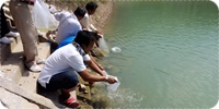 สนับสนุนพันธุ์กุ้งก้ามกรามเพื่อเพิ่มผลผลิตในแหล่งน้ำ..คลิก