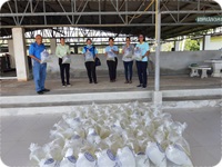 สนับสนุนพันธุ์กุ้งก้ามกรามเพื่อเพิ่มผลผลิตในแหล่งน้ำ..คลิก