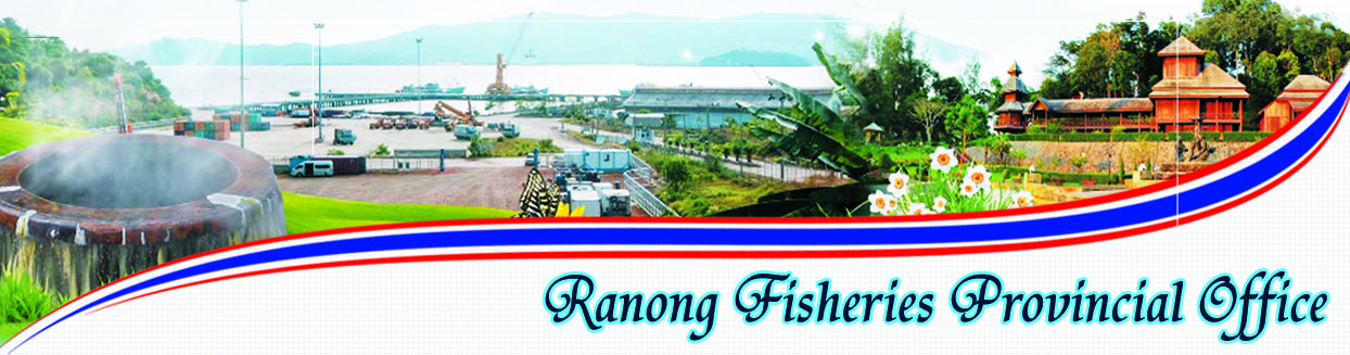 HeadWeb2..คลิก