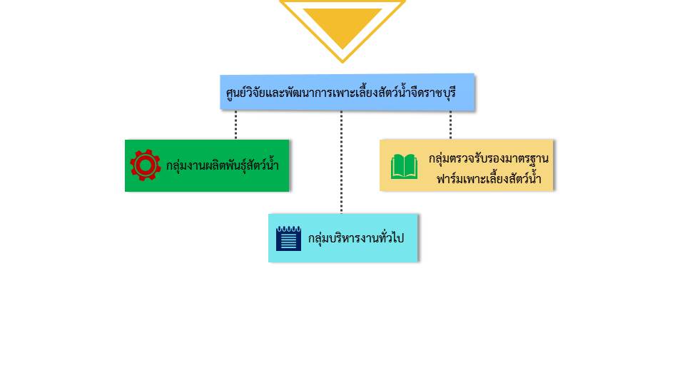 โครงสร้างศูนย์วิจัยและพัฒนาการเพาะเลี้ยงสัตว์น้ำจืดราชบุรี..คลิก