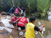 สนับสนุนพันธุ์กุ้งก้ามกรามเพื่อปล่อยแหล่งน้ำ..คลิก